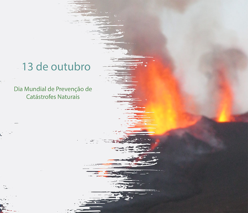 Dia Catastrofes Naturais